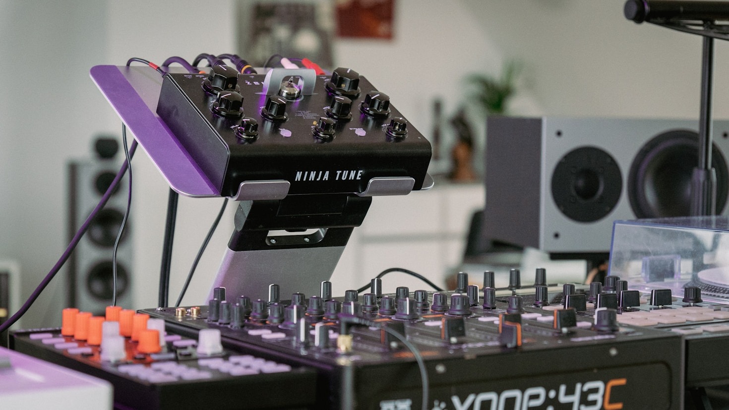 The Evolution of Soundsystem Culture Worldwide